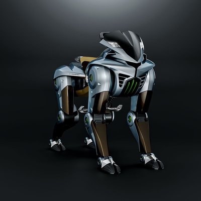Kawasaki Corleo cover