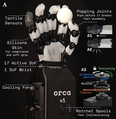 Orca Hand cover