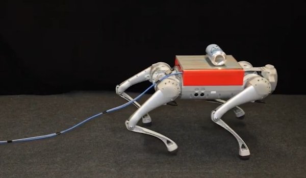 LocoTouch: Tactile Sensing Systems for Four-Legged Robots - YouTube cover