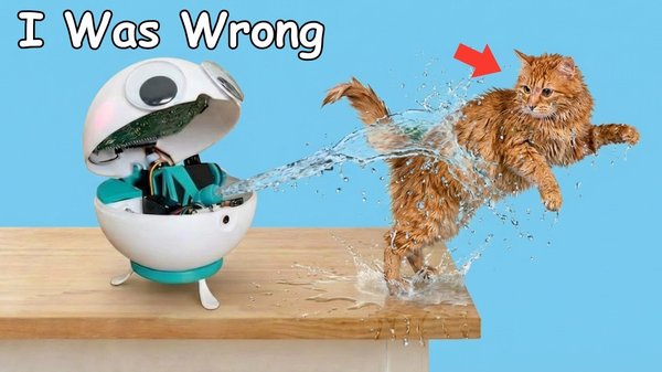 My Cat Kept Jumping on the Counter..So I Built a Robot cover