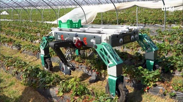 RoLand: Strawberry picking robot SHIVAA with improved picking rate cover
