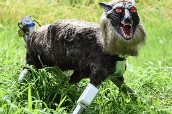 Japan’s robot wolf sells out as record bear attacks drive demand cover
