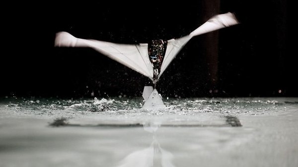 Puffin-Inspired Robot that Swims and Flies cover