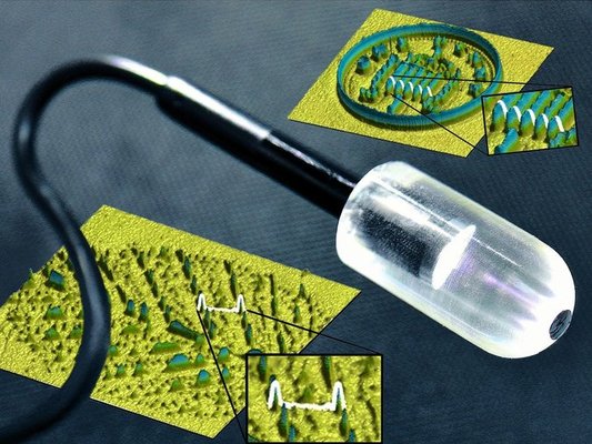 Mechanochromic Skin Gives Robot Finger Fine Senses cover