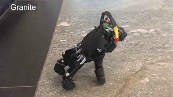 Teaching A Robot Hand To Walk cover
