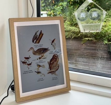 fugleramme: E-ink bird frame for Raspberry Pi cover