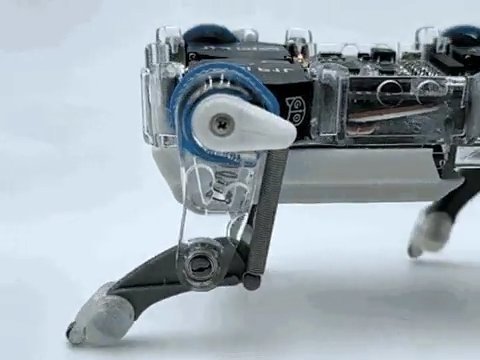 What 30,000 robot dogs taught me about degrees of freedom and shipping a real robot product cover