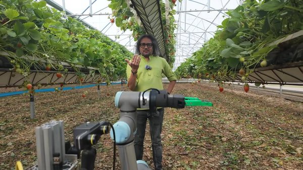 Why robots still can't pick strawberries cover